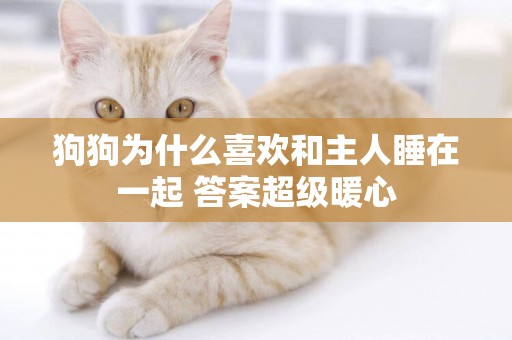 狗狗為什么喜歡和主人睡在一起 答案超級暖心