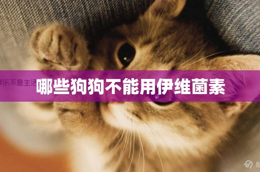 哪些狗狗不能用伊維菌素