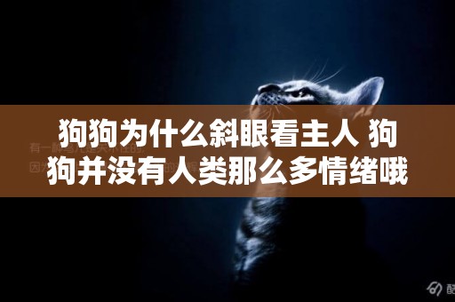 狗狗為什么斜眼看主人 狗狗并沒有人類那么多情緒哦！