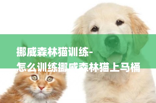 挪威森林貓訓練-
怎么訓練挪威森林貓上馬桶