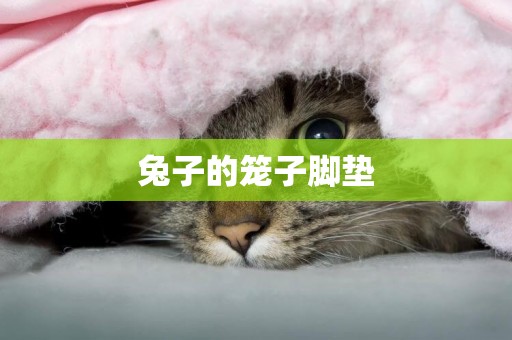 兔子的籠子腳墊