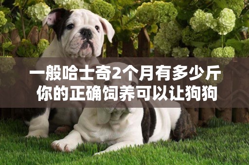 一般哈士奇2個月有多少斤 你的正確飼養可以讓狗狗更健康！