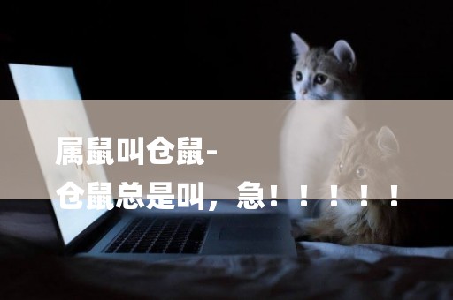 屬鼠叫倉鼠-
倉鼠總是叫，急！！！！！