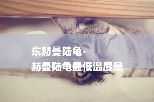 東赫曼陸龜-
赫曼陸龜最低溫度是
