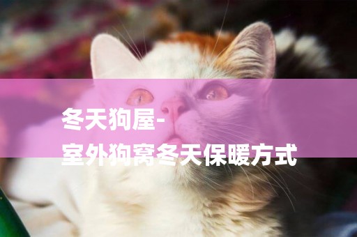 冬天狗屋-
室外狗窩冬天保暖方式