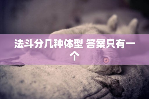 法斗分幾種體型 答案只有一個