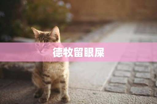 德牧留眼屎