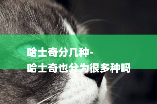 哈士奇分幾種-
哈士奇也分為很多種嗎