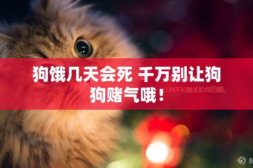 狗餓幾天會死 千萬別讓狗狗賭氣哦！