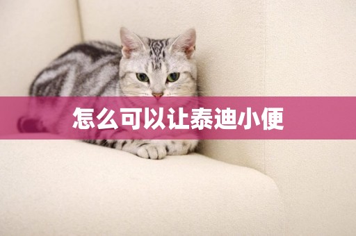 怎么可以讓泰迪小便