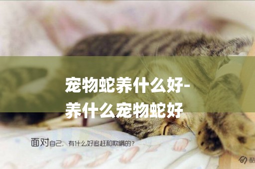 寵物蛇養什么好-
養什么寵物蛇好