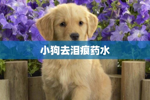 小狗去淚痕藥水