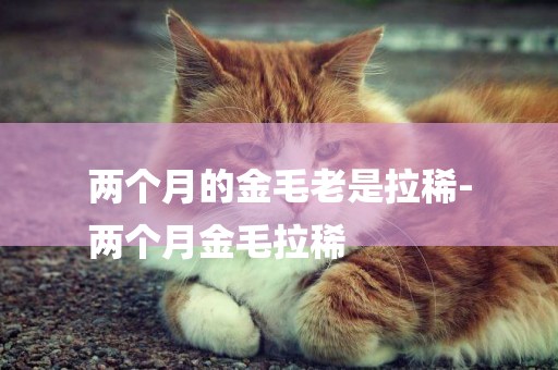 兩個月的金毛老是拉稀-
兩個月金毛拉稀