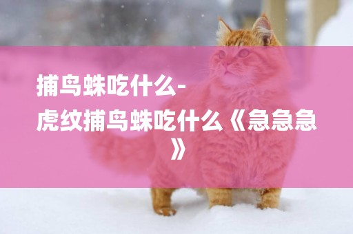 捕鳥蛛吃什么-
虎紋捕鳥蛛吃什么《急急急》