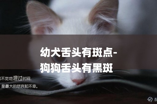 幼犬舌頭有斑點-
狗狗舌頭有黑斑