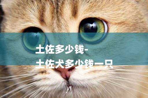 土佐多少錢-
土佐犬多少錢一只