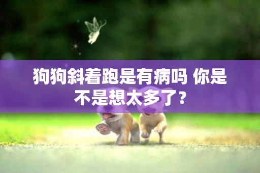 狗狗斜著跑是有病嗎 你是不是想太多了？