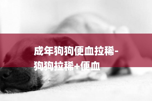 成年狗狗便血拉稀-
狗狗拉稀+便血