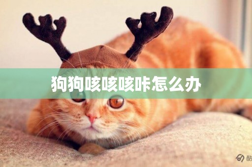 狗狗咳咳咳咔怎么辦