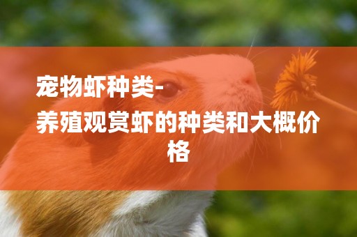 寵物蝦種類-
養殖觀賞蝦的種類和大概價格