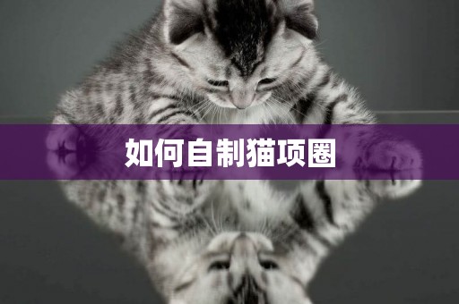 如何自制貓項圈
