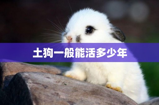 土狗一般能活多少年