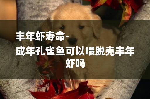 豐年蝦壽命-
成年孔雀魚可以喂脫殼豐年蝦嗎