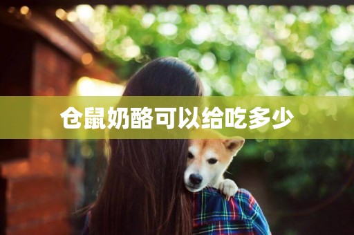 倉鼠奶酪可以給吃多少