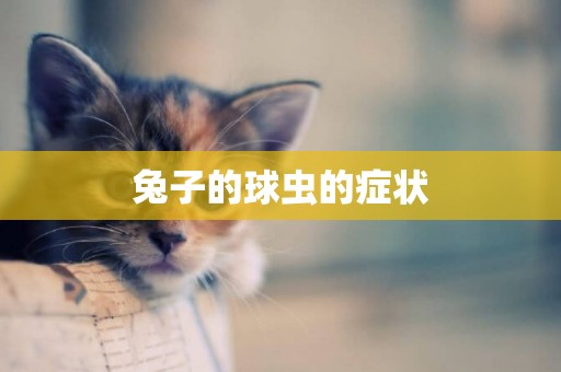 兔子的球蟲的癥狀