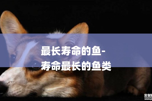最長壽命的魚-
壽命最長的魚類
