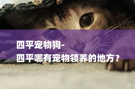 四平寵物狗-
四平哪有寵物領養的地方？