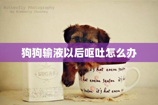 狗狗輸液以后嘔吐怎么辦