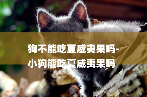 狗不能吃夏威夷果嗎-
小狗能吃夏威夷果嗎