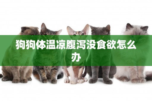 狗狗體溫涼腹瀉沒食欲怎么辦