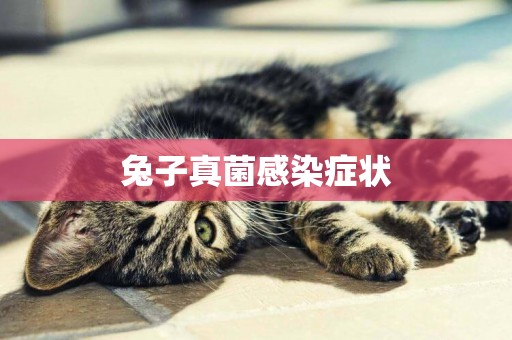 兔子真菌感染癥狀