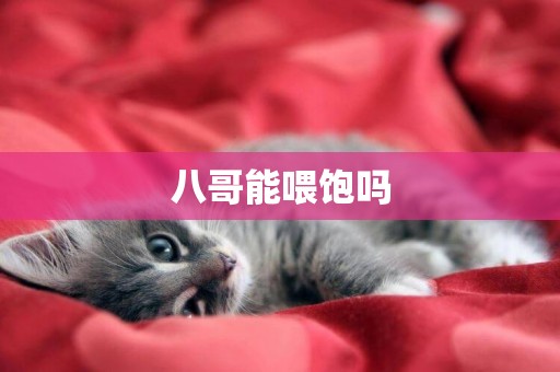 八哥能喂飽嗎