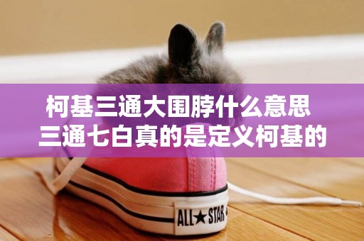 柯基三通大圍脖什么意思 三通七白真的是定義柯基的門檻嗎