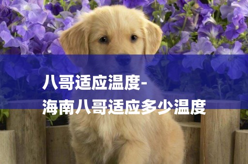 八哥適應溫度-
海南八哥適應多少溫度