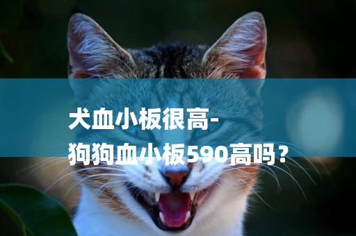 犬血小板很高-
狗狗血小板590高嗎？