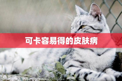 可卡容易得的皮膚病