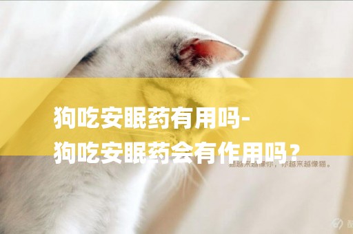 狗吃安眠藥有用嗎-
狗吃安眠藥會有作用嗎？