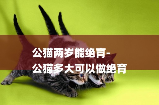 公貓兩歲能絕育-
公貓多大可以做絕育