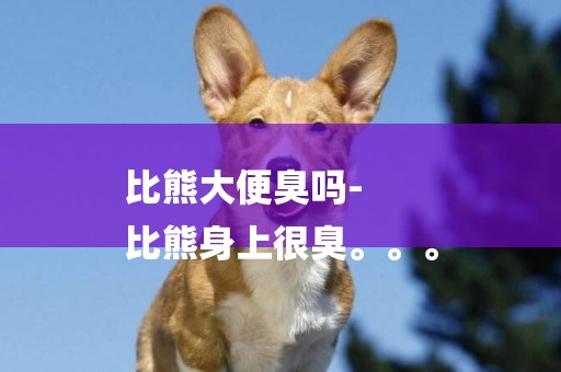 比熊大便臭嗎-
比熊身上很臭。。。