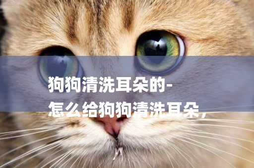 狗狗清洗耳朵的-
怎么給狗狗清洗耳朵，