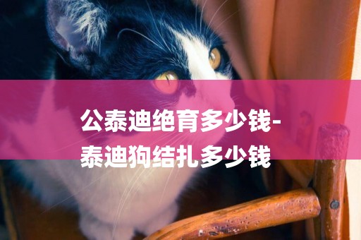 公泰迪絕育多少錢-
泰迪狗結扎多少錢