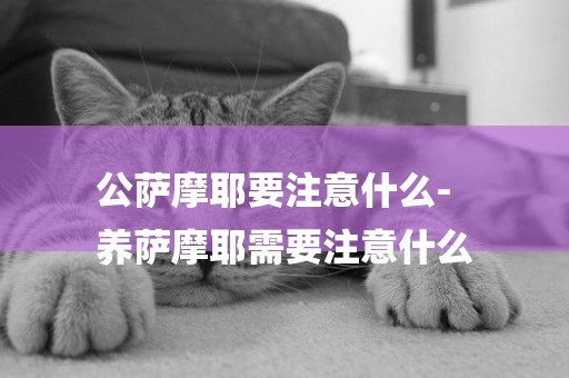 公薩摩耶要注意什么-
養薩摩耶需要注意什么