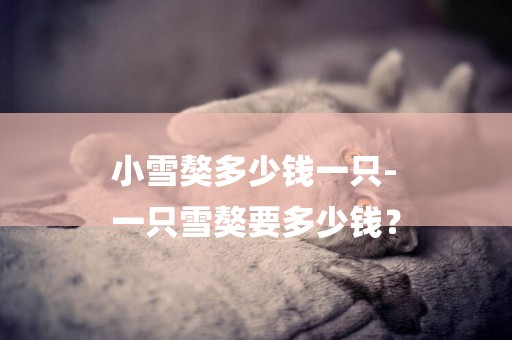 小雪獒多少錢一只-
一只雪獒要多少錢？