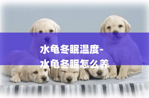 水龜冬眠溫度-
水龜冬眠怎么養