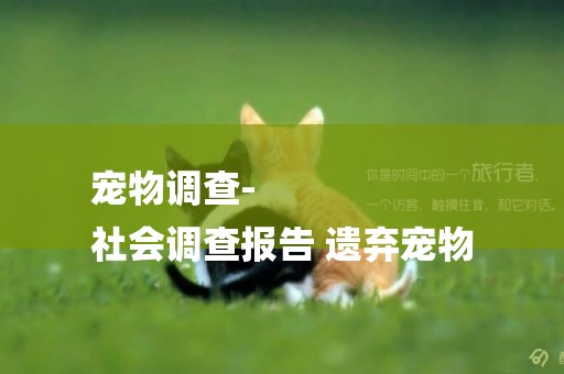 寵物調查-
社會調查報告 遺棄寵物