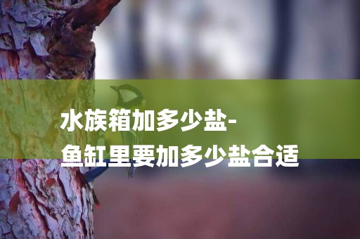 水族箱加多少鹽-
魚缸里要加多少鹽合適